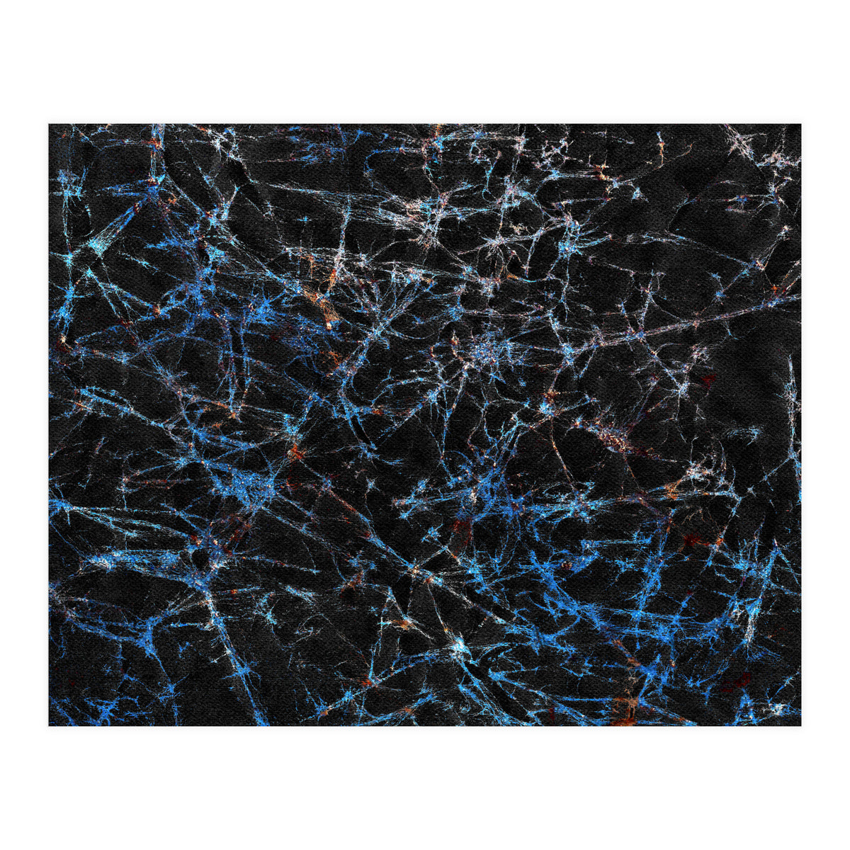 Blue Web  (Print Only)