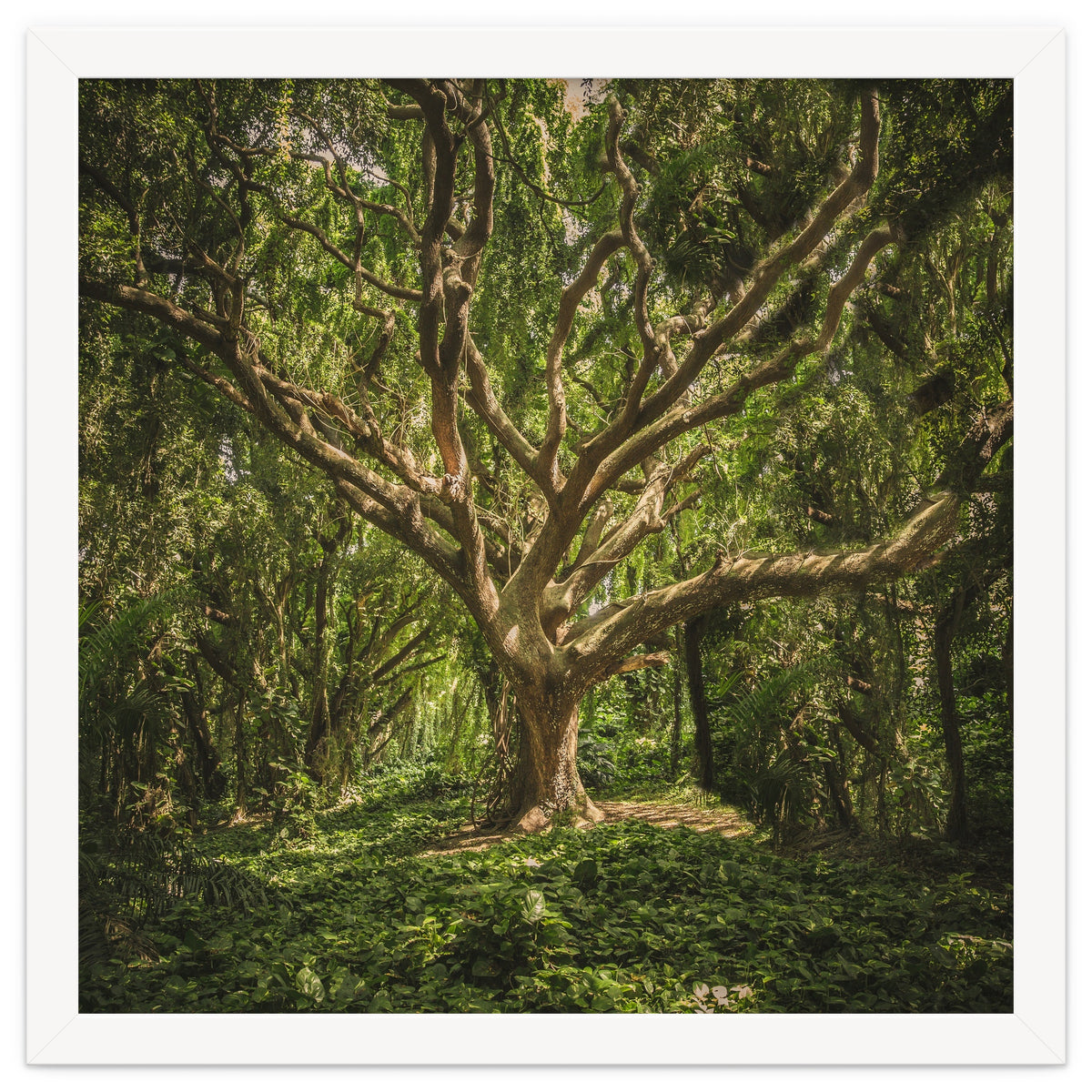 Spirits inside the wood