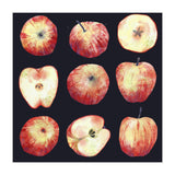 Apples Dark (Print Only) thumbnail