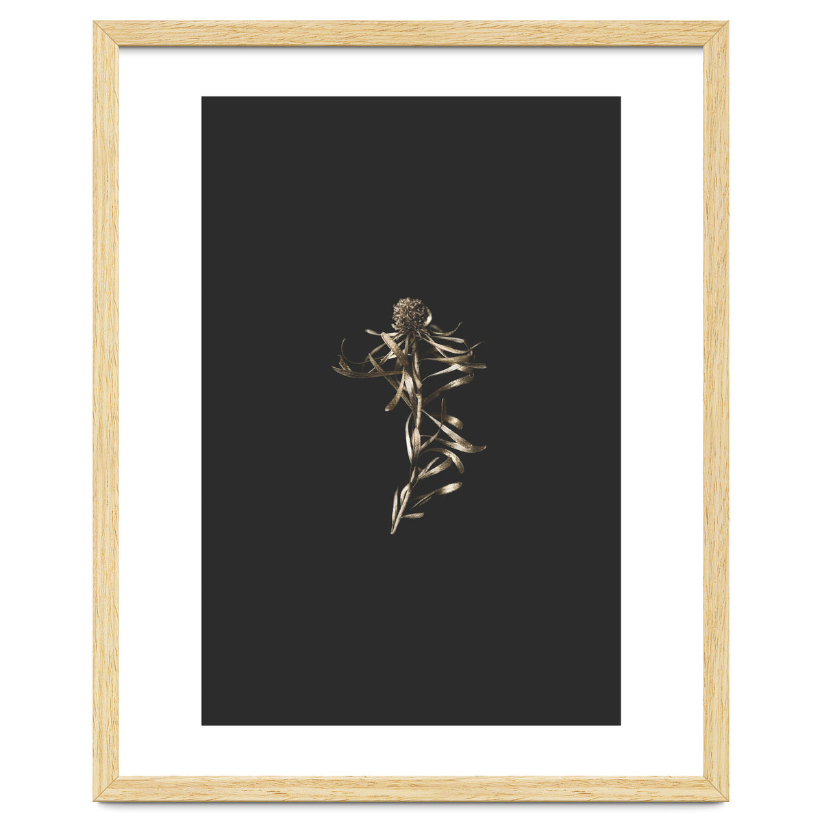 Magical Golden Fynbos