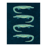 Alligators in the Dark (Print Only) thumbnail