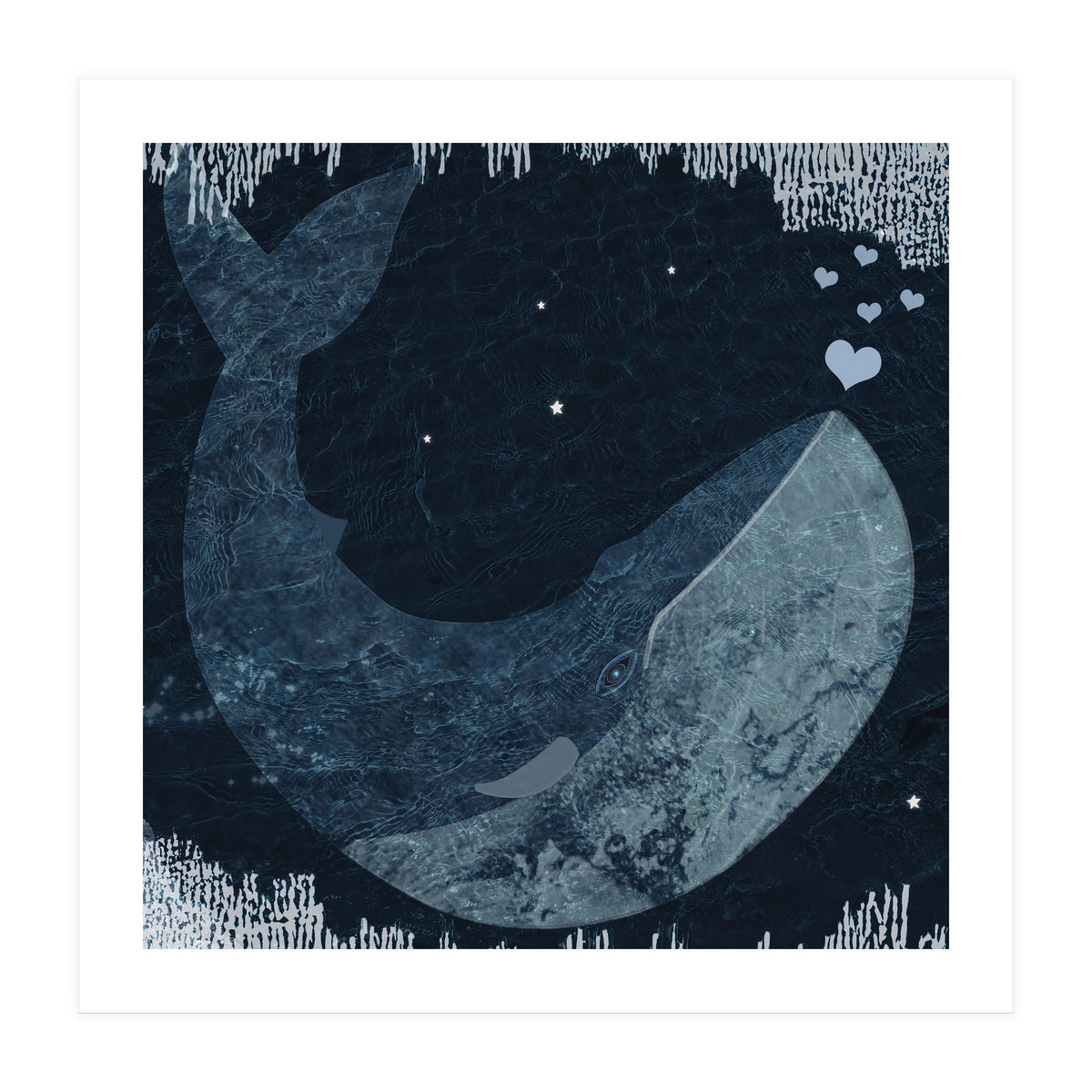 Whalelove (Print Only)
