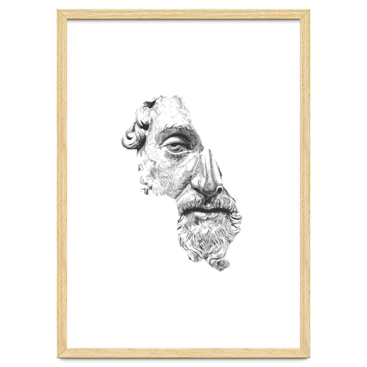 MARCUS AURELIUS ANTONINUS AUGUSTUS / black and white
