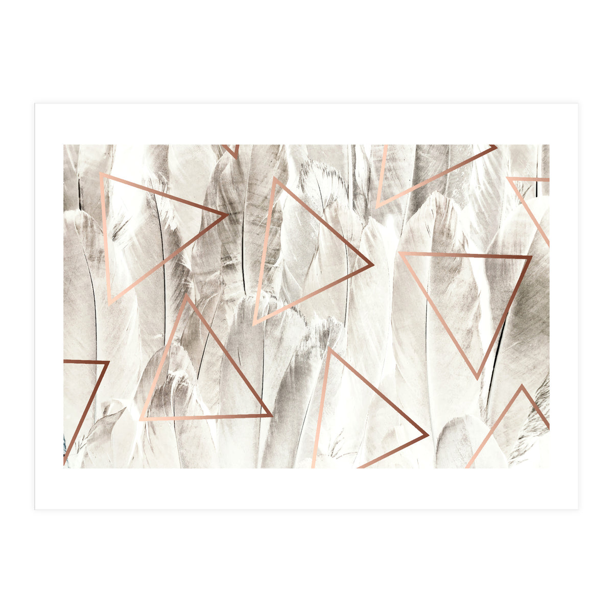 Feathers & Copper (Print Only)