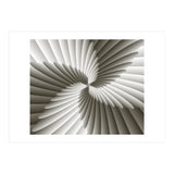 Angel Wings (Print Only) thumbnail