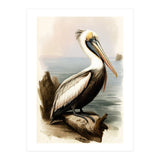 Pelican on the Shoreline Vintage Painting (Print Only) thumbnail