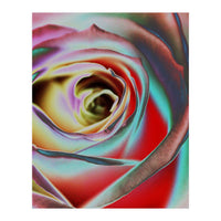 Rose (Print Only)