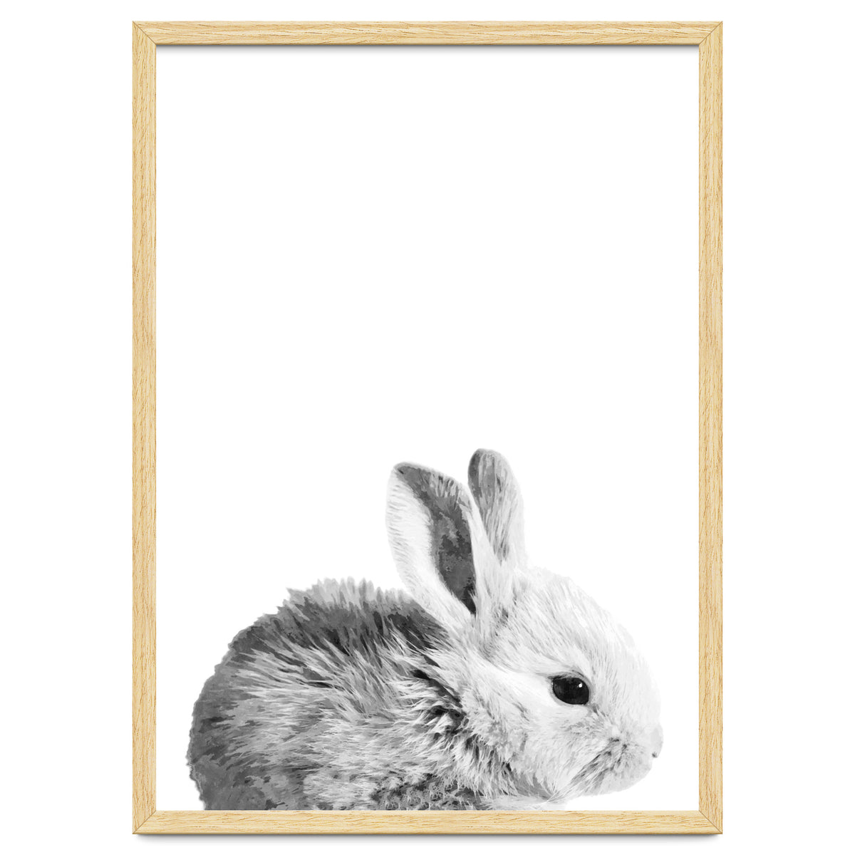 Black and White Bunny Portrait