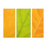 Autumn Leaves (Print Only) thumbnail