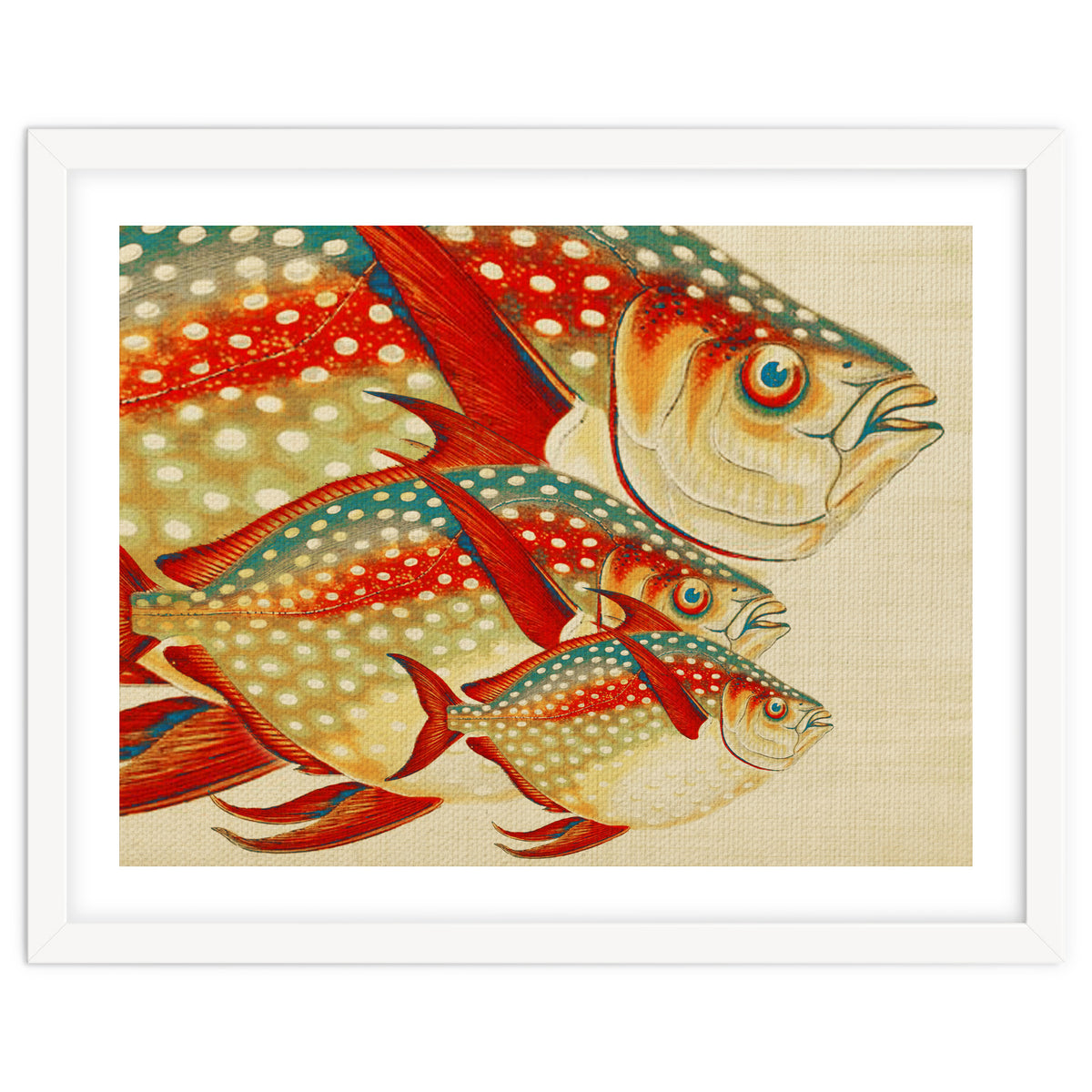 Fish Classic Designs 1