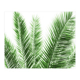 Palm Leaves (Print Only) thumbnail