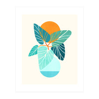 Tropical Symmetry (Print Only)