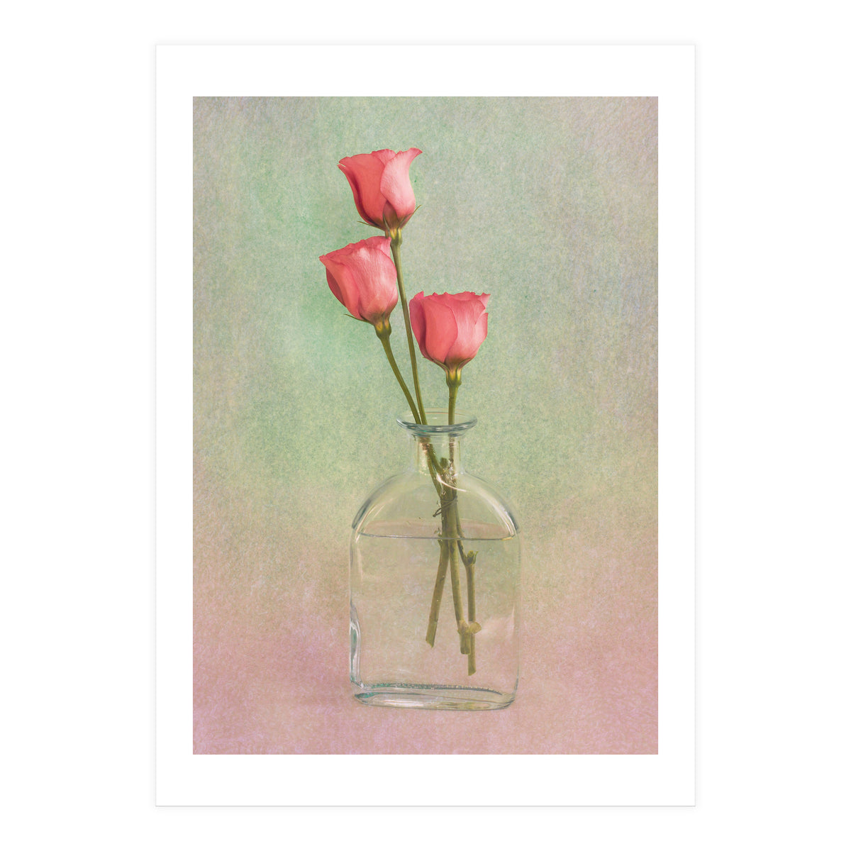 Three In A Flask (Print Only)