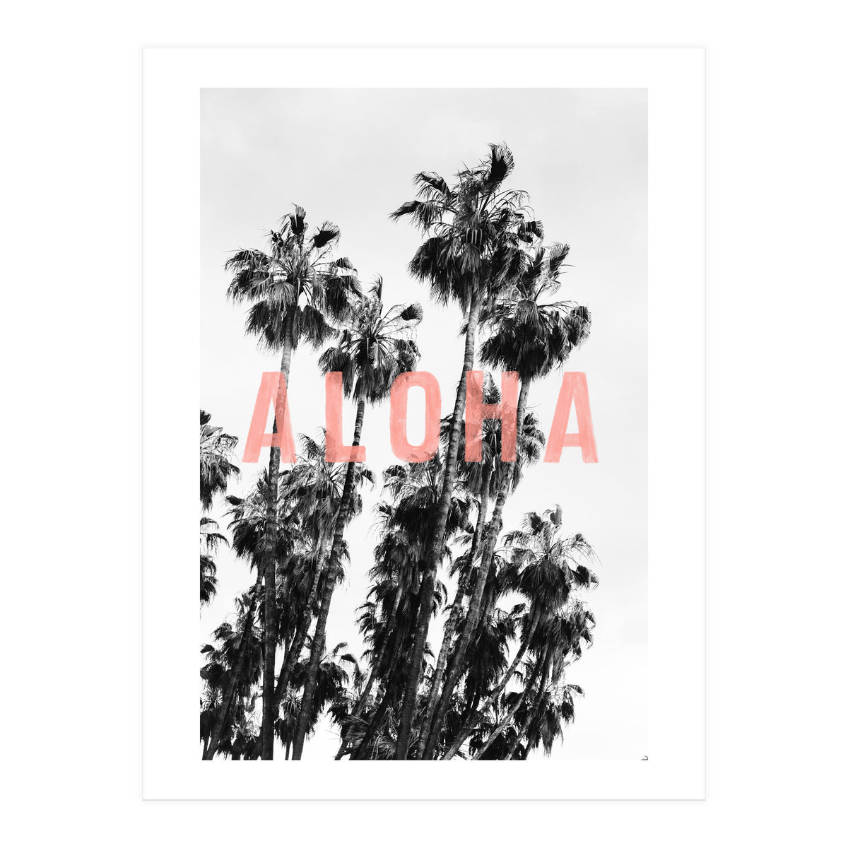 Aloha  (Print Only)