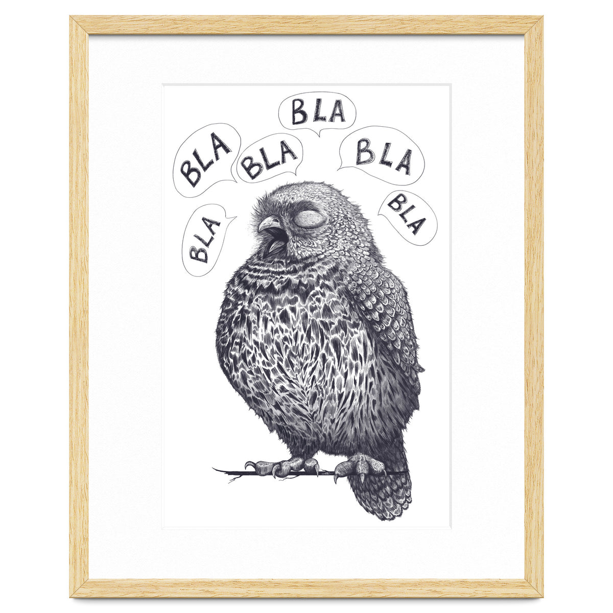 Owl Bla Bla Bla
