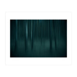 transience  (Print Only) thumbnail