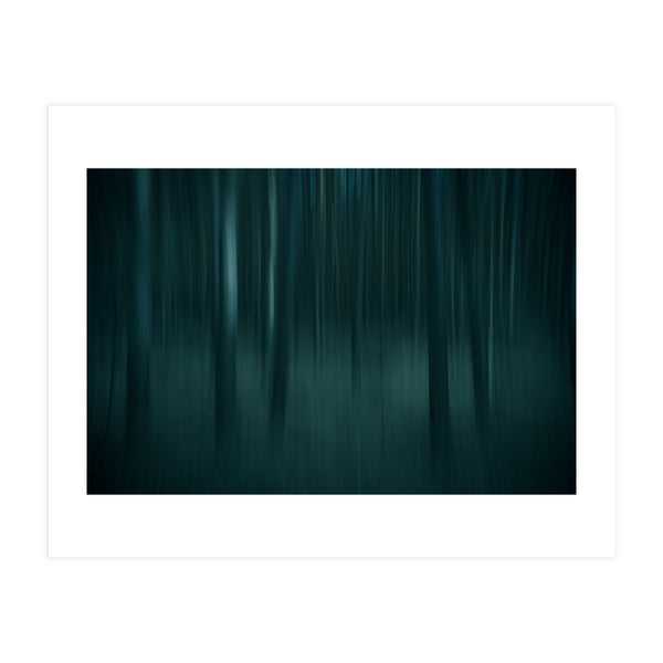 transience  (Print Only)