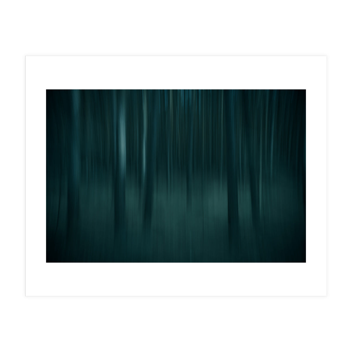 transience  (Print Only)