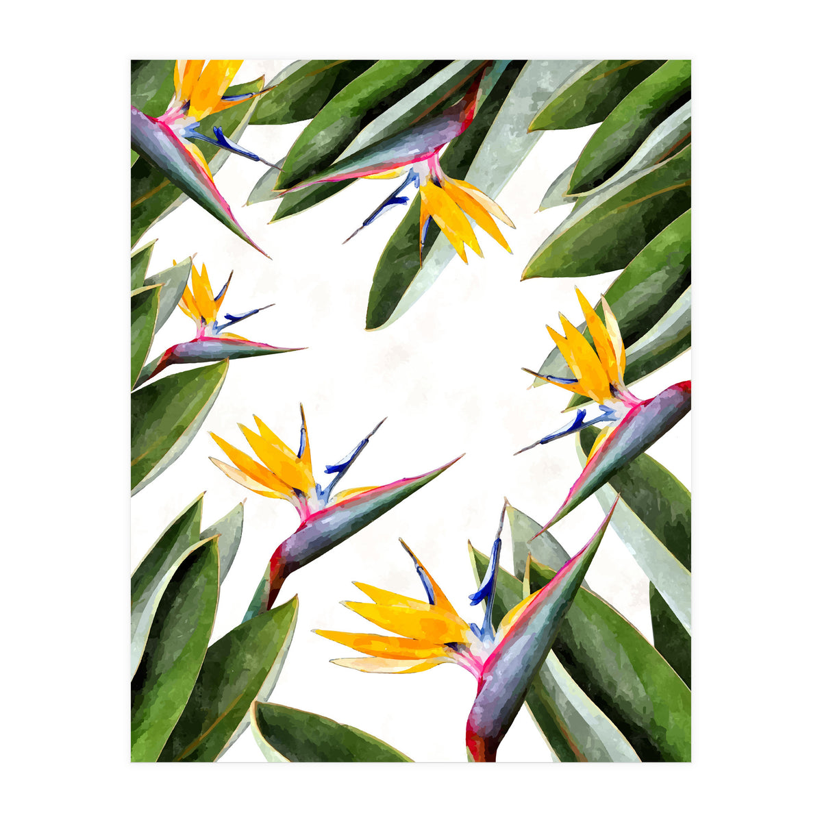 Bird Of Paradise (Print Only)
