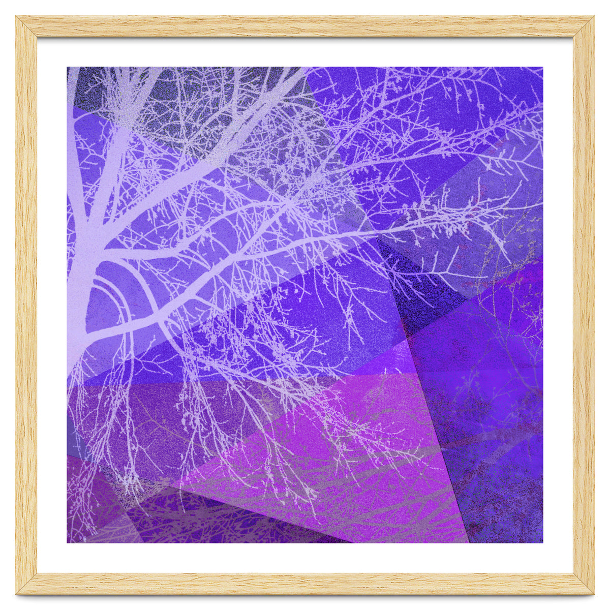 P19-D2 Trees and Triangles