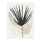 Silhouette II (Print Only) thumbnail