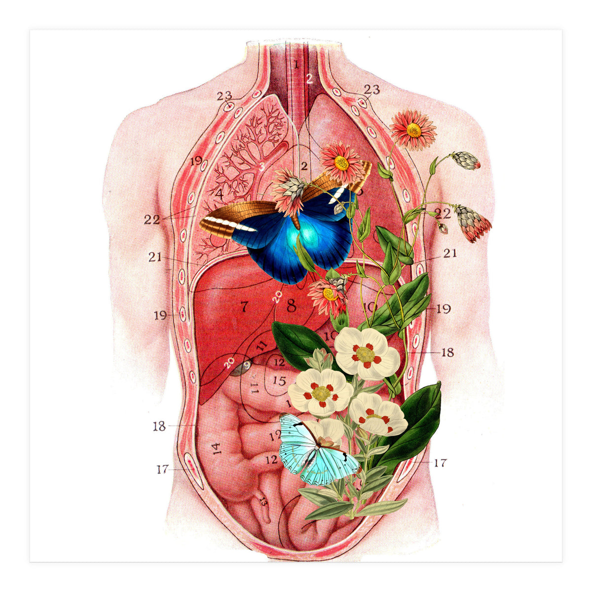 Butterflys In The Belly Makes Flower Grows (Print Only)