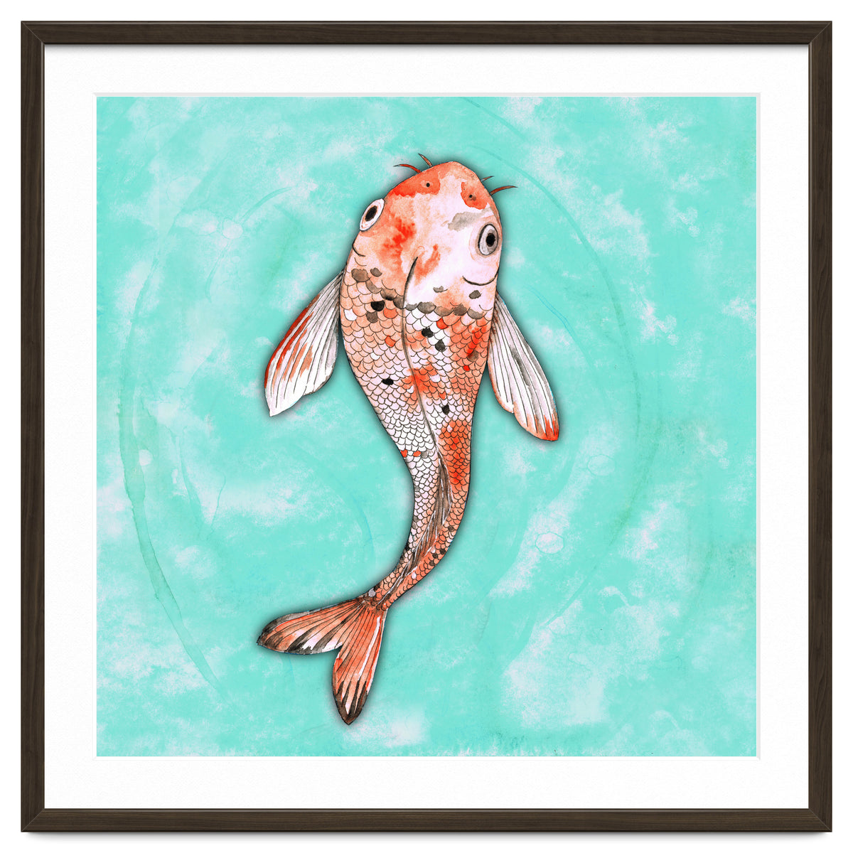 Koi fish