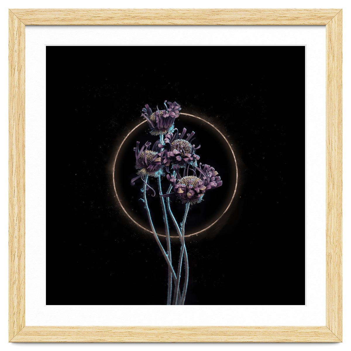 Candy-Coloured Mystery