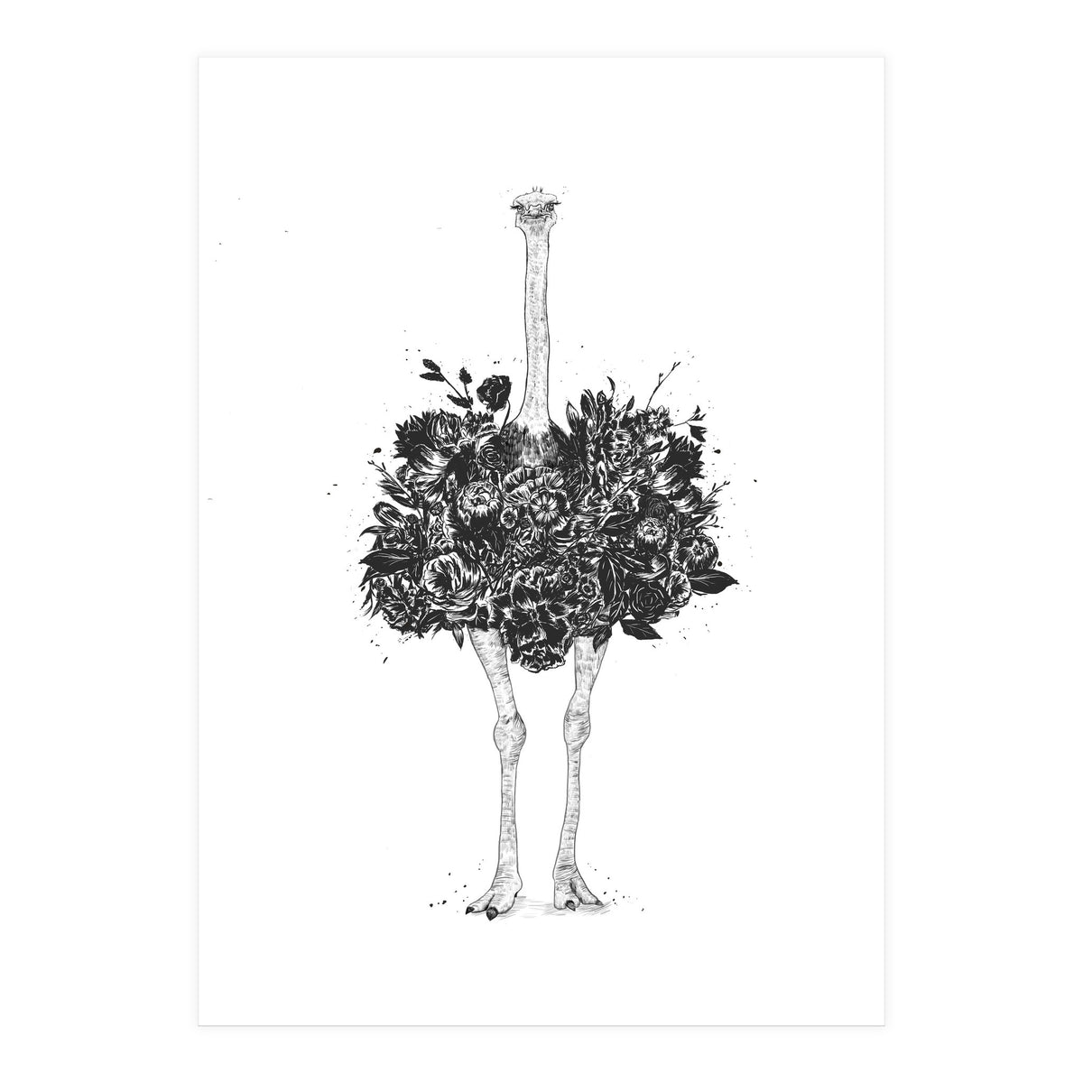 Floral Ostrich (Print Only)