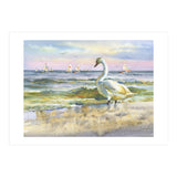Sea and birds (Print Only) thumbnail