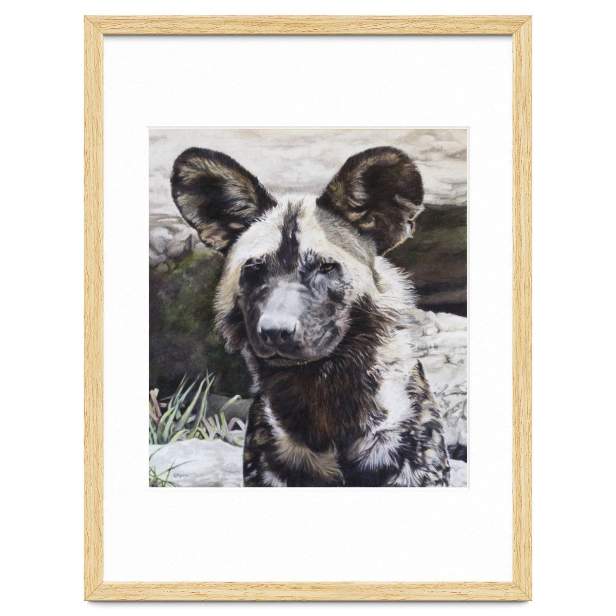 African Painted Dog II