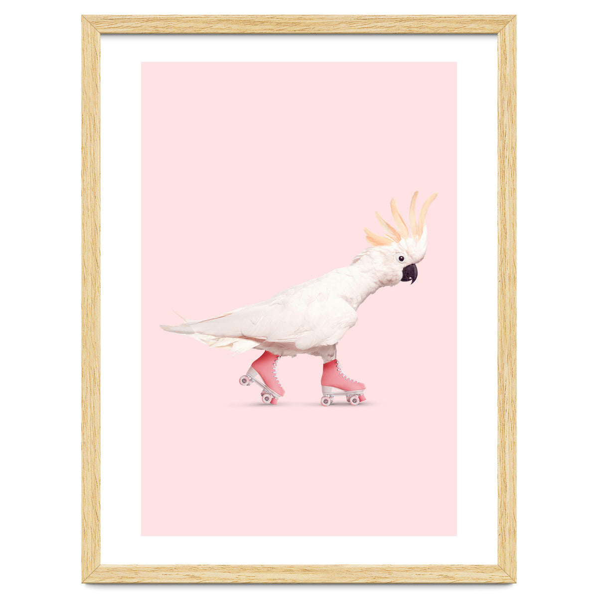 Rollerskating Cockatoo