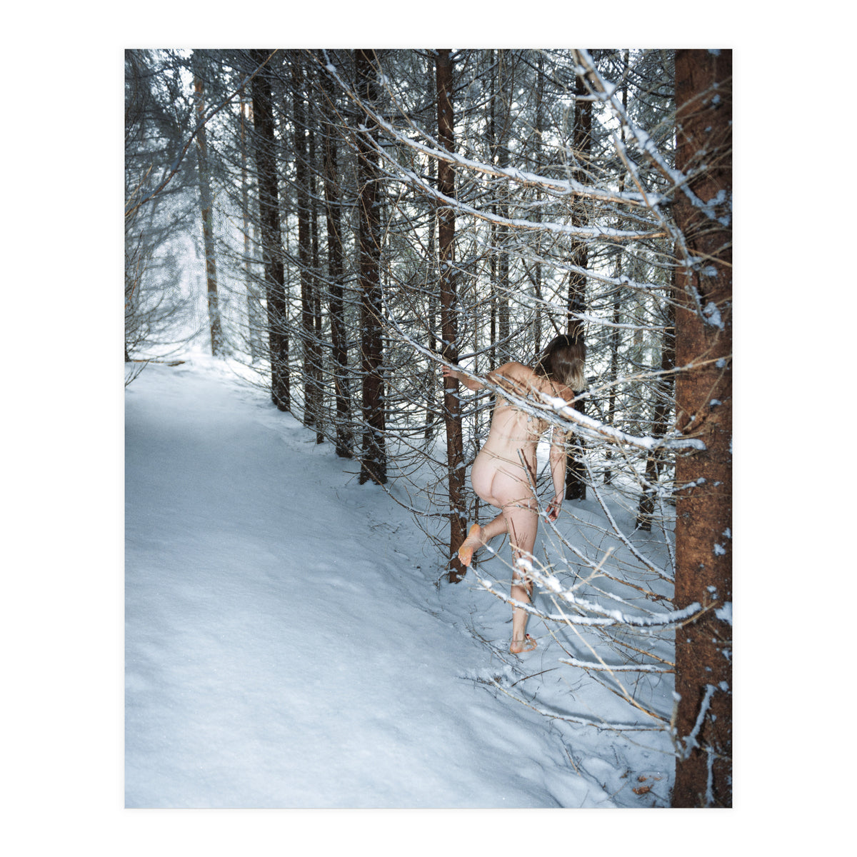 New Year's Resolutions (Print Only)