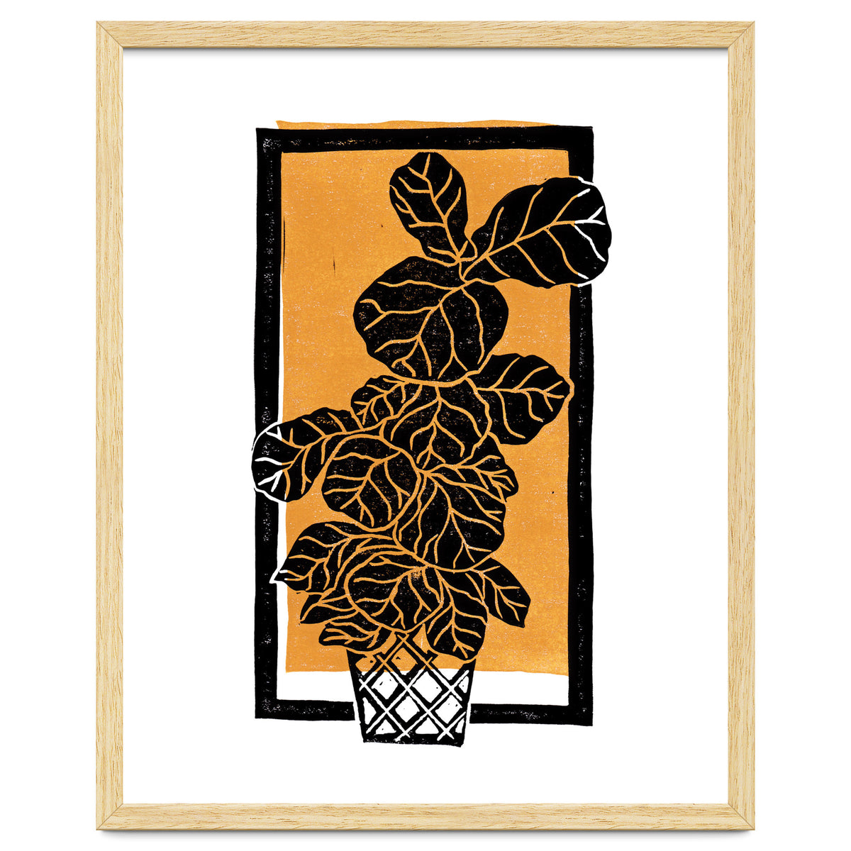 Fiddle Leaf Fig Clean + Sunlight