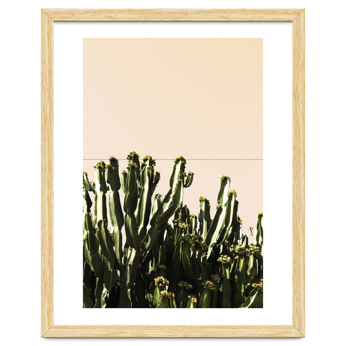 Cactus Vertical Color