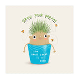 Grow Your Dreams (Print Only) thumbnail