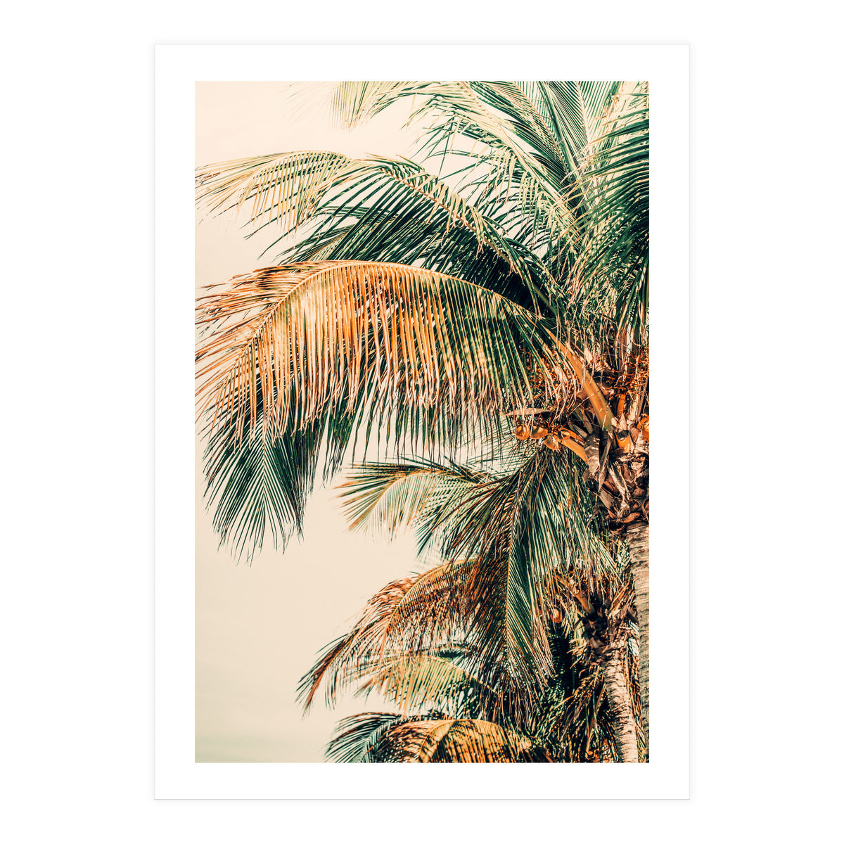 Tropic Summer  (Print Only)