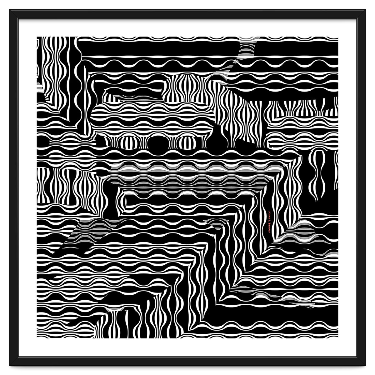 BLACK AND WHITE EXOTIC