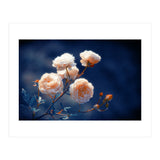 Rose Garden (Print Only) thumbnail
