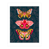 Lepidoptery Study No. 4 (Print Only) thumbnail