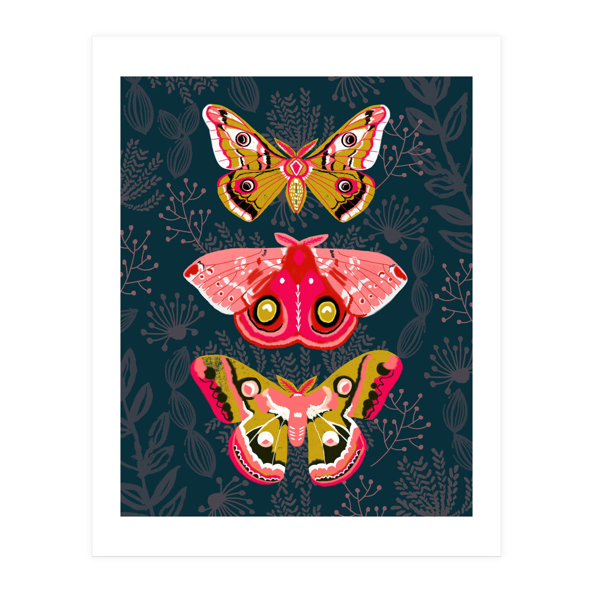 Lepidoptery Study No. 4 (Print Only)