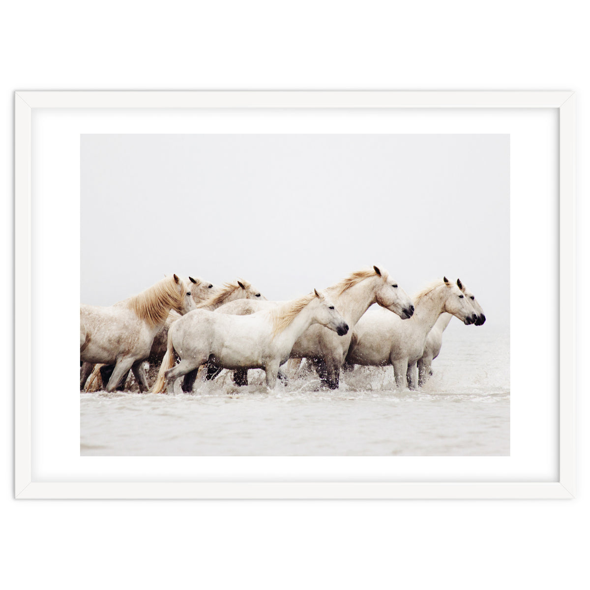 White Horses - Nature Photography