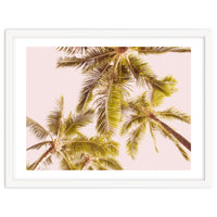 Blush Pink Boho Palm Trees