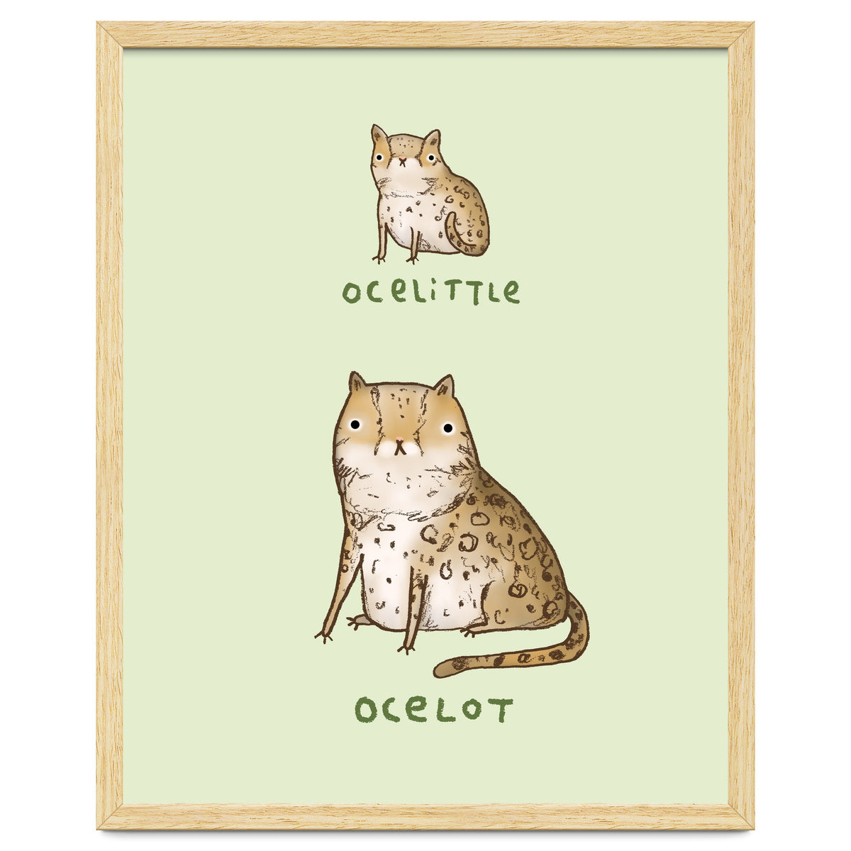 Ocelittle Ocelot