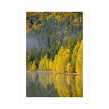 LAKE IN FOREST (Print Only) thumbnail
