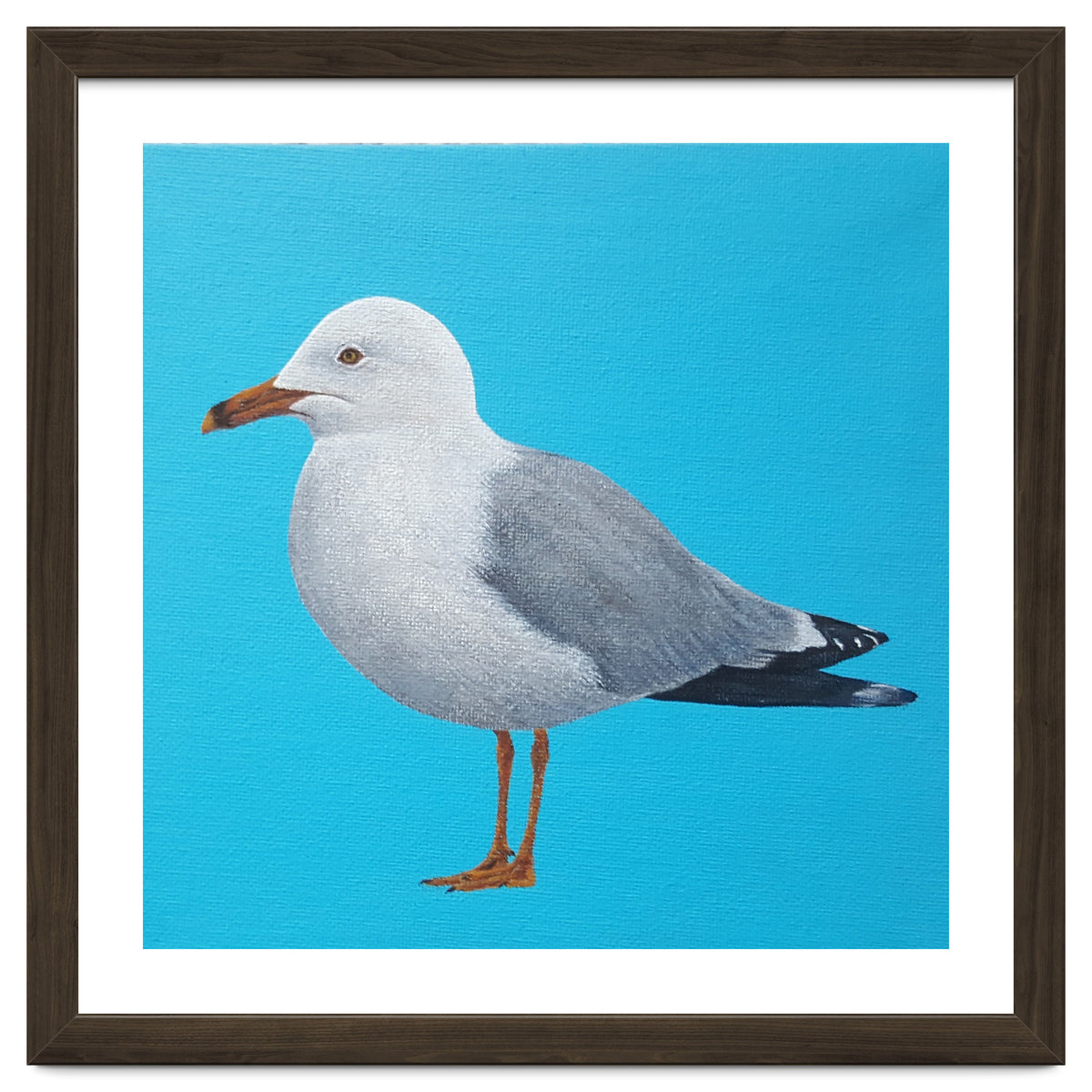 Seagull
