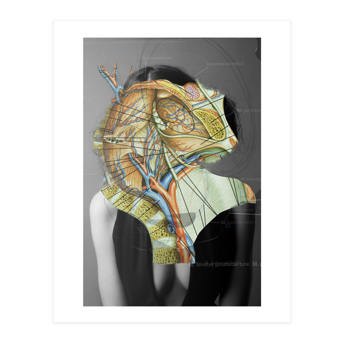 Crazy Woman 210 (Print Only)