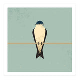 Swallow (Print Only) thumbnail