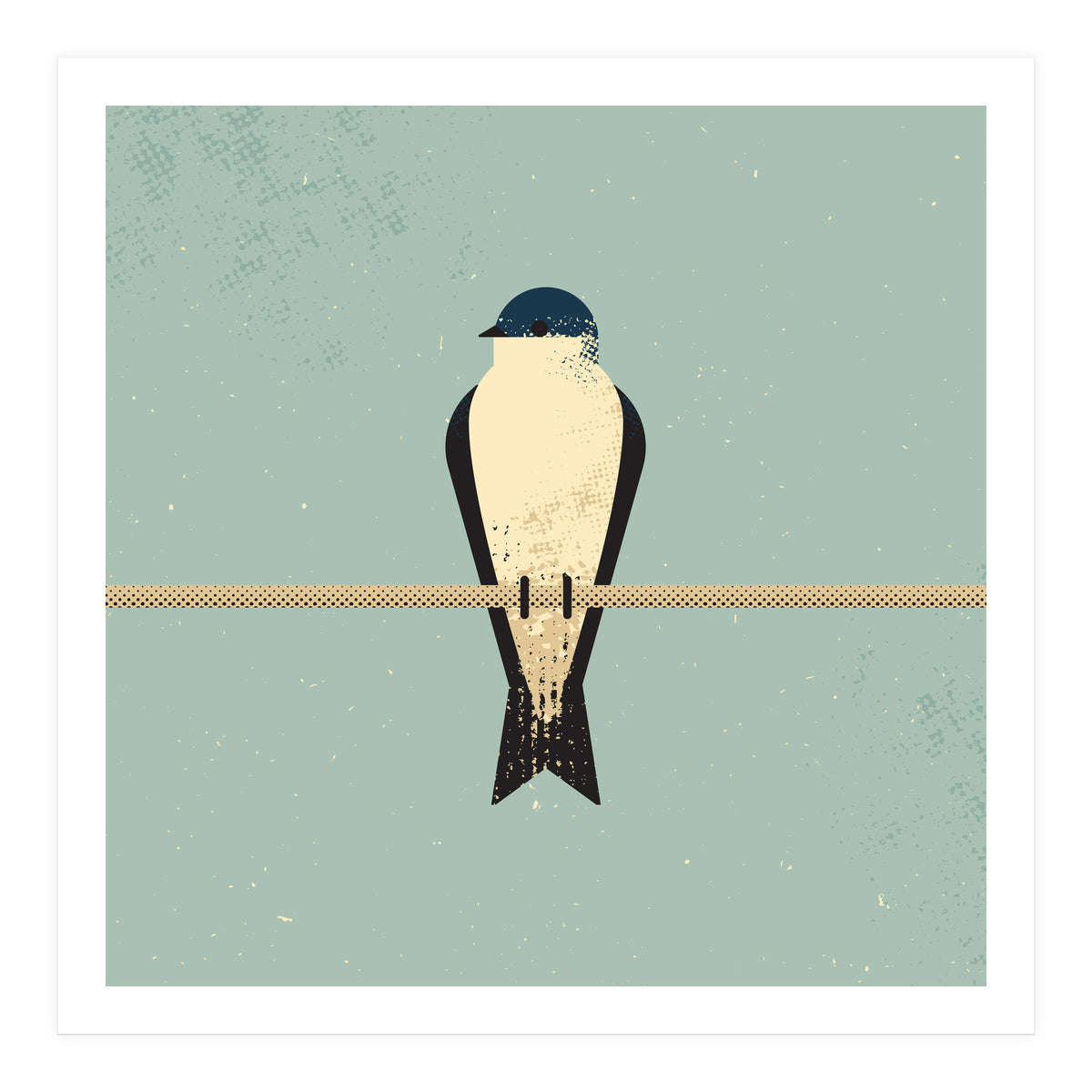 Swallow (Print Only)