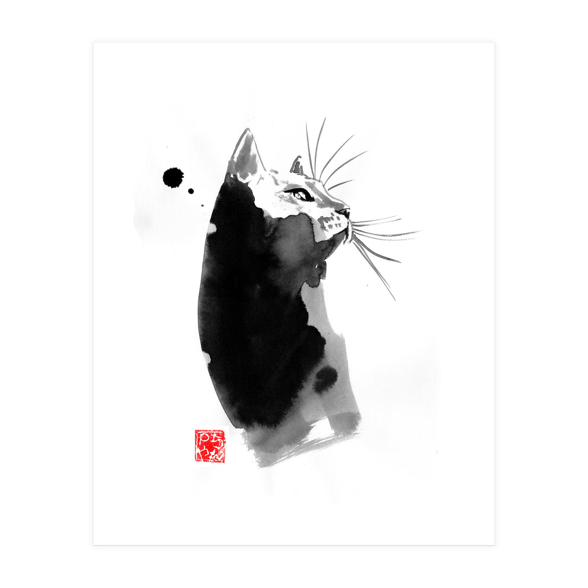 Profil Spot Cat (Print Only)
